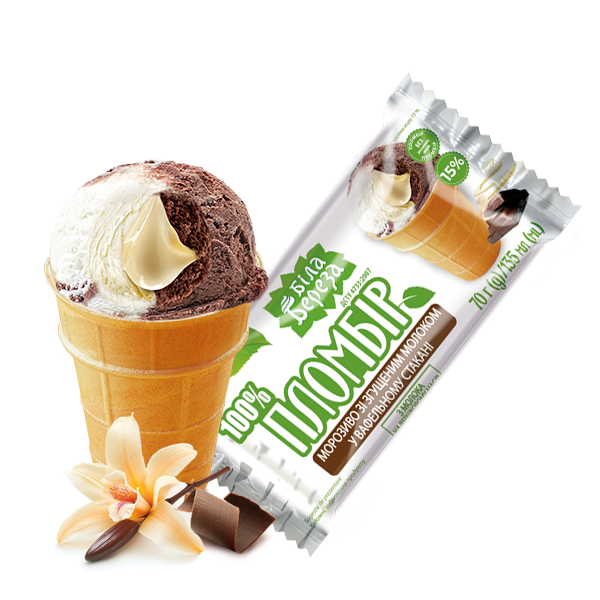 Vanilla-cocoa premium ice cream with condensed milk in a waffle cup